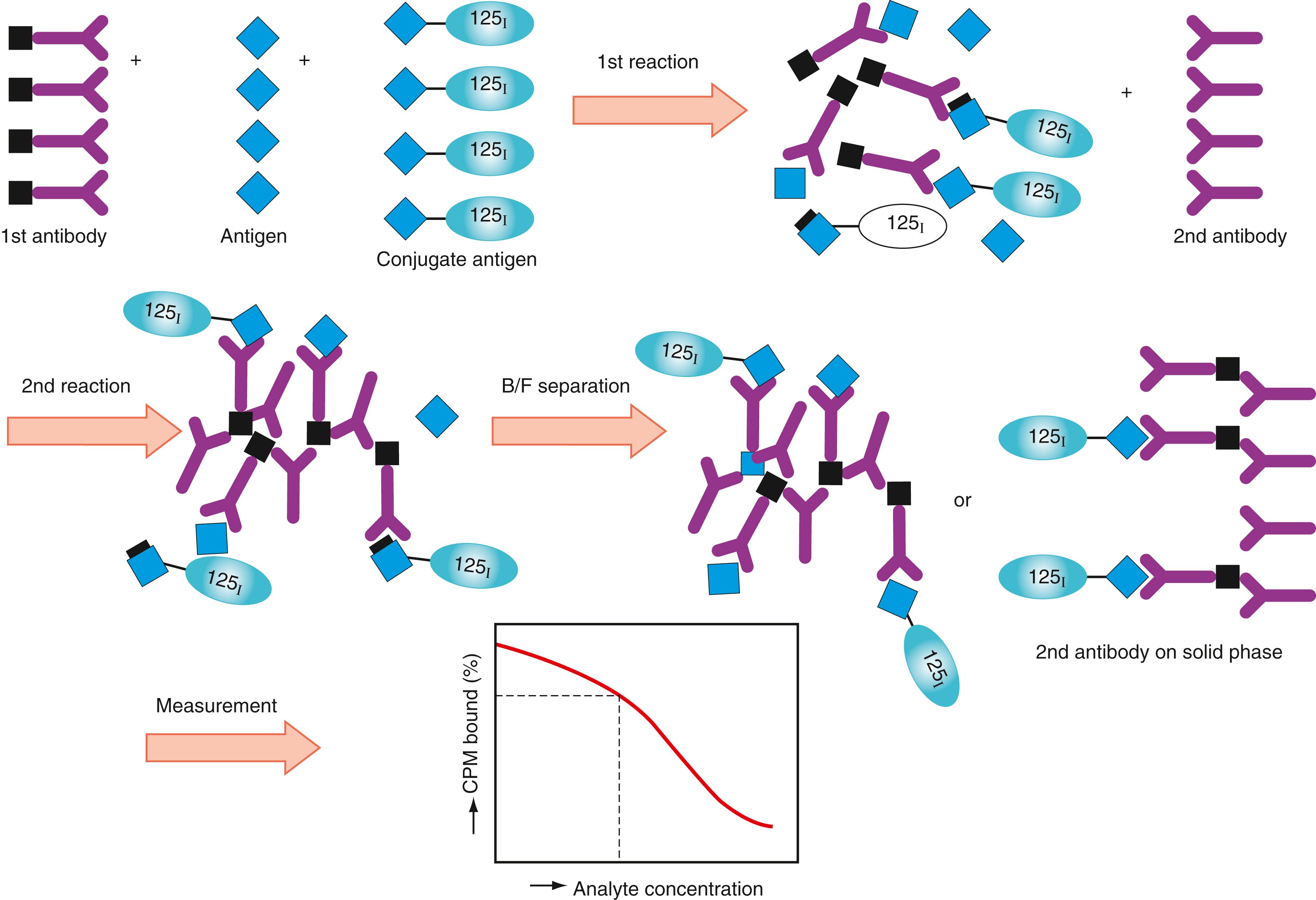 Figure 45.11, Assay principle of competitive radioimmunoassay (RIA) method using second antibody for B/F (bound/free) separation.