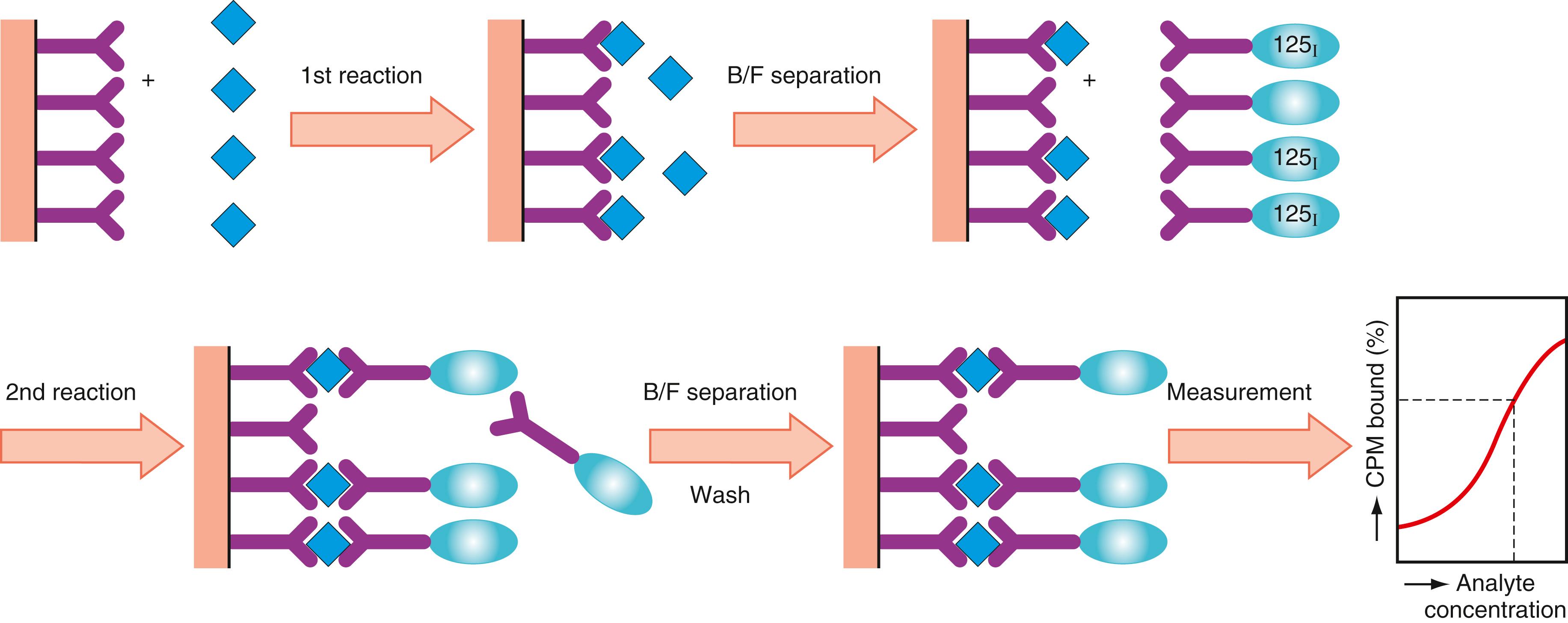 Figure 45.12, Assay principle of sandwich radioimmunoassay (RIA) method using solid phase, also referred to as immunoradiometric assay. B/F, Bound/free.