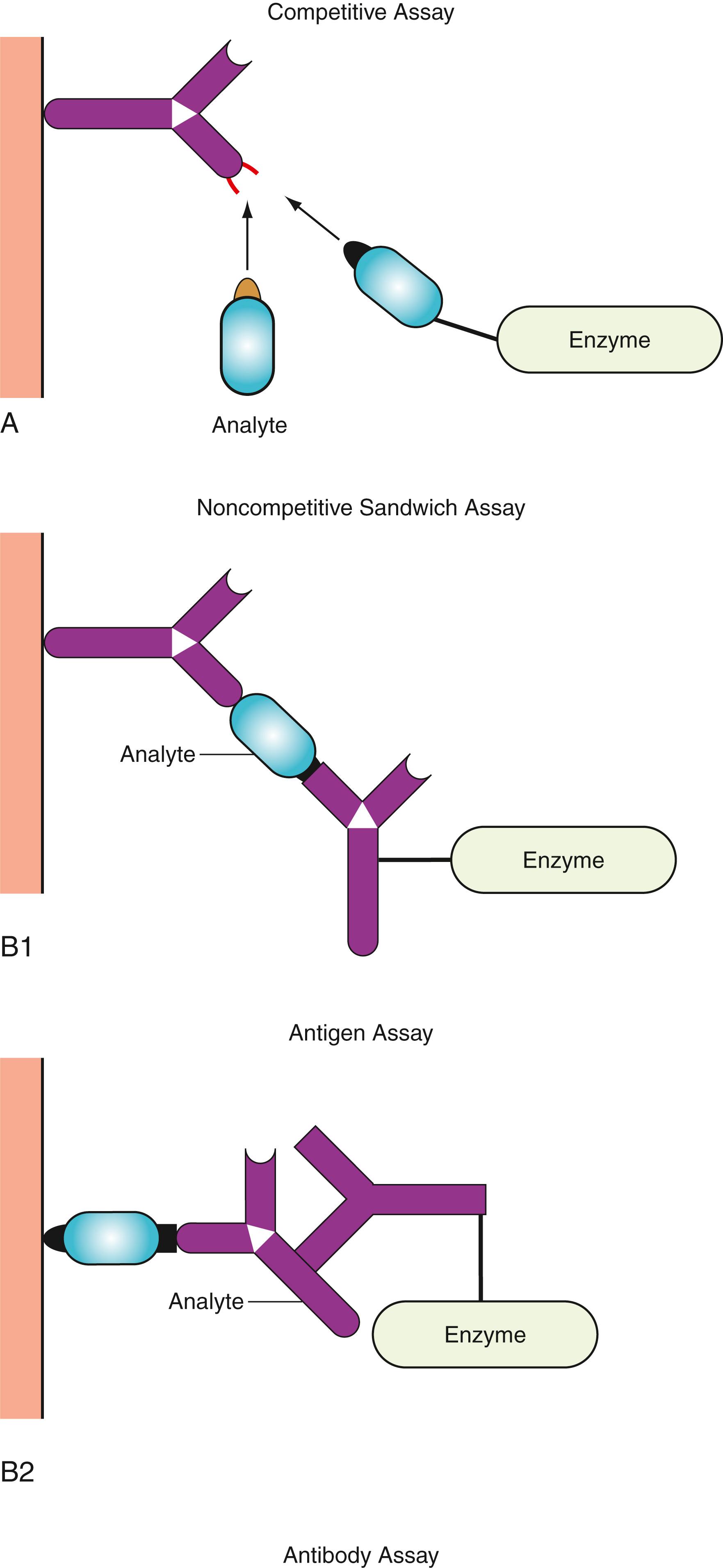 Figure 45.13, Assay principles of heterogeneous enzyme immunoassay (EIA) using solid phase. A, Competitive assay. B1 and B2, Noncompetitive sandwich assay.