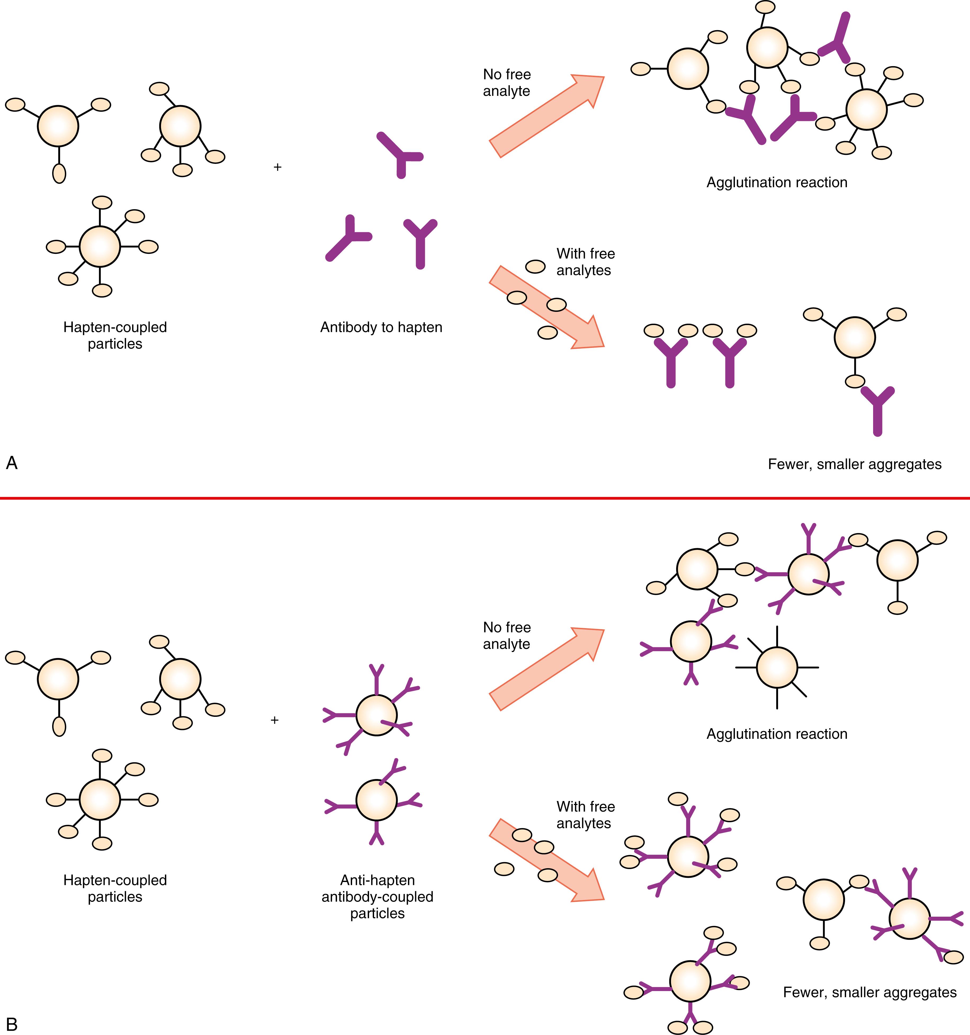 Figure 45.4, Principles of particle inhibition immunoassay for detection of antigen with single epitope (hapten), using antigen particle with ( A ) free or ( B ) fixed antibody. (With permission from Nakamura RM, Kasahara Y, Rechnitz GA, editors: Immunochemical assays and biosensor technology for the 1990s , Washington, DC, 1992, American Society for Microbiology.)