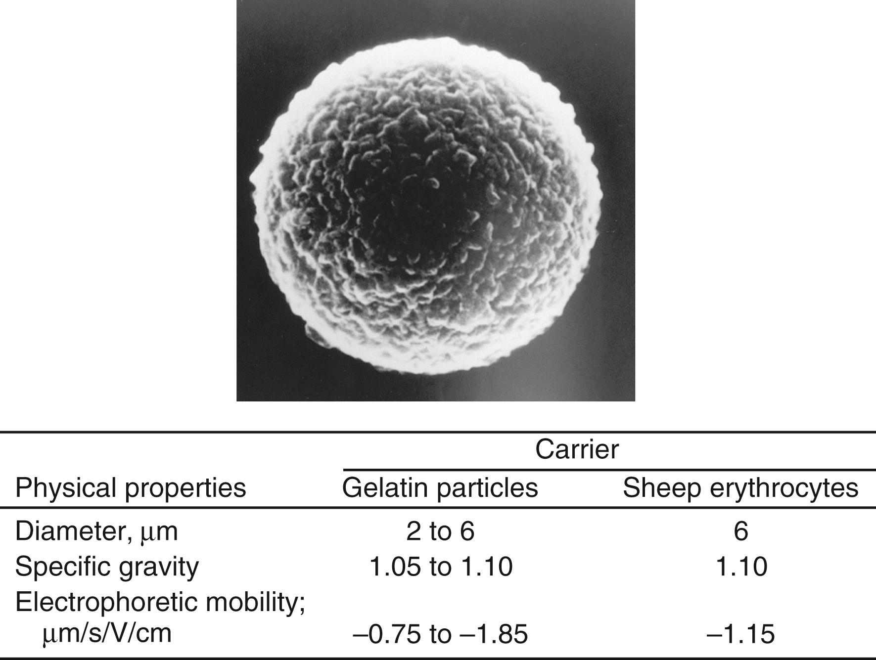 Figure 45.8, Electron micrograph (×25,000) and physical properties of gelatin particles in comparison with sheep erythrocytes.
