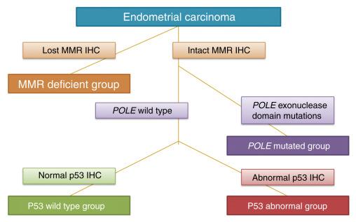 FIG. 20.19, Algorithm to classify endometrial carcinoma using surrogate testing for molecular grouping (as described in Talhouk A, McConechy MK, Leung S, et al, Br J Cancer 2015;113: 299–310). MMR= mismatch repair. POLE= DNA polymerase epsilon.