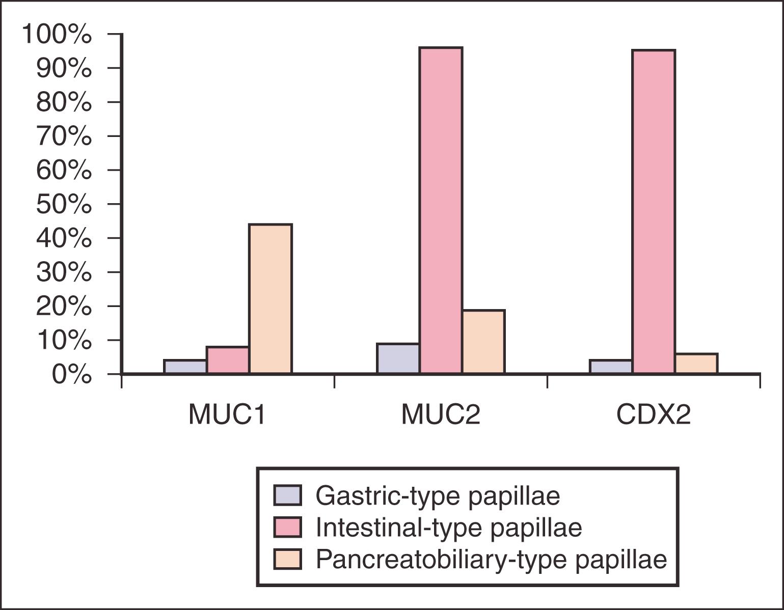 Fig. 15.12, Immunohistogram of intraductal papillary mucinous neoplasms with selected antibodies.