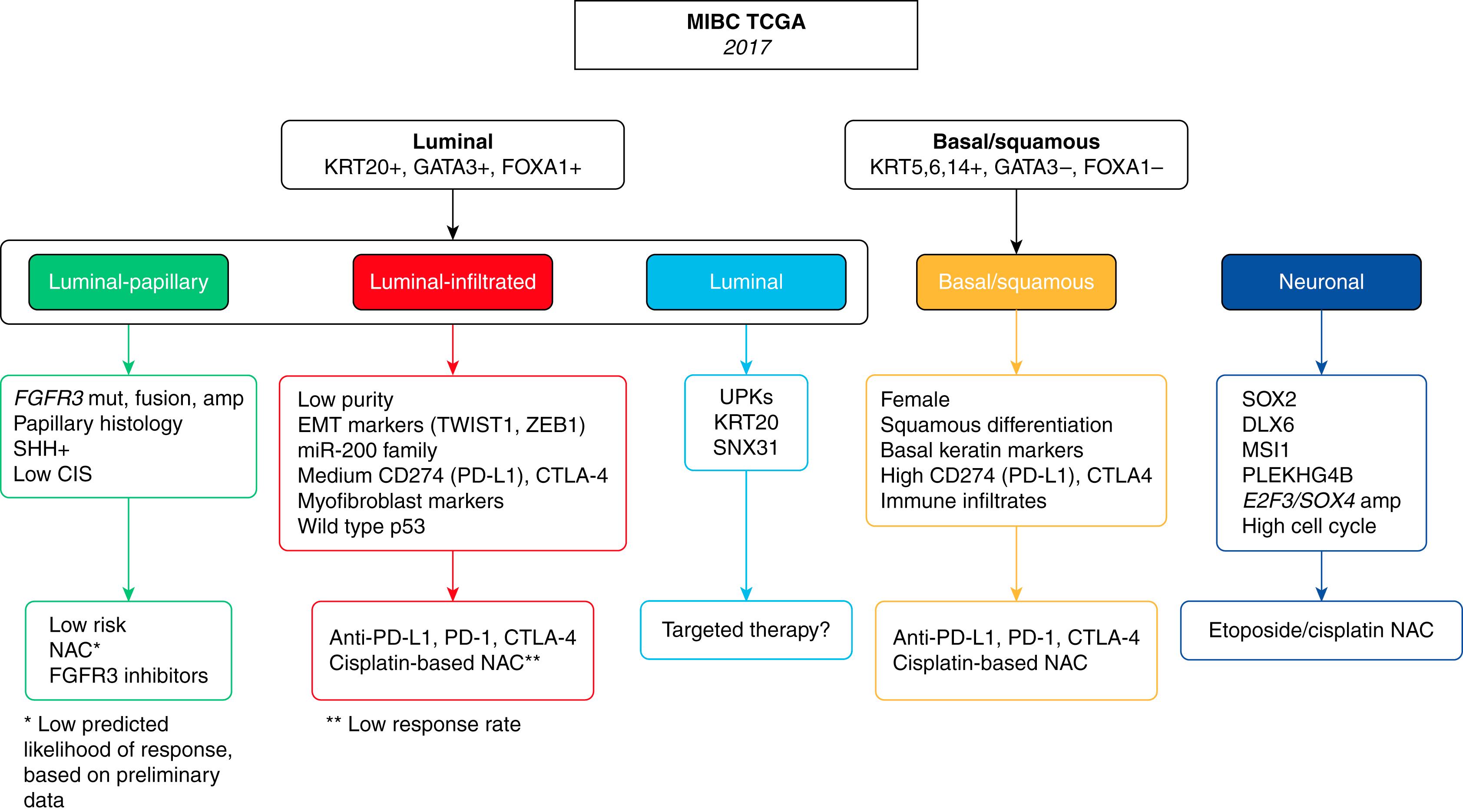 Fig. 17.15, TCGA 2017 for muscle invasive bladder cancer proposed schema of expression based, subtype-stratified therapeutic approach that can be used as framework for prospective hypothesis testing in clinical trials,