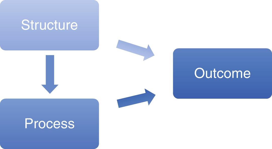 Fig. 45.1, Relationship between structure, process, and outcome measures.