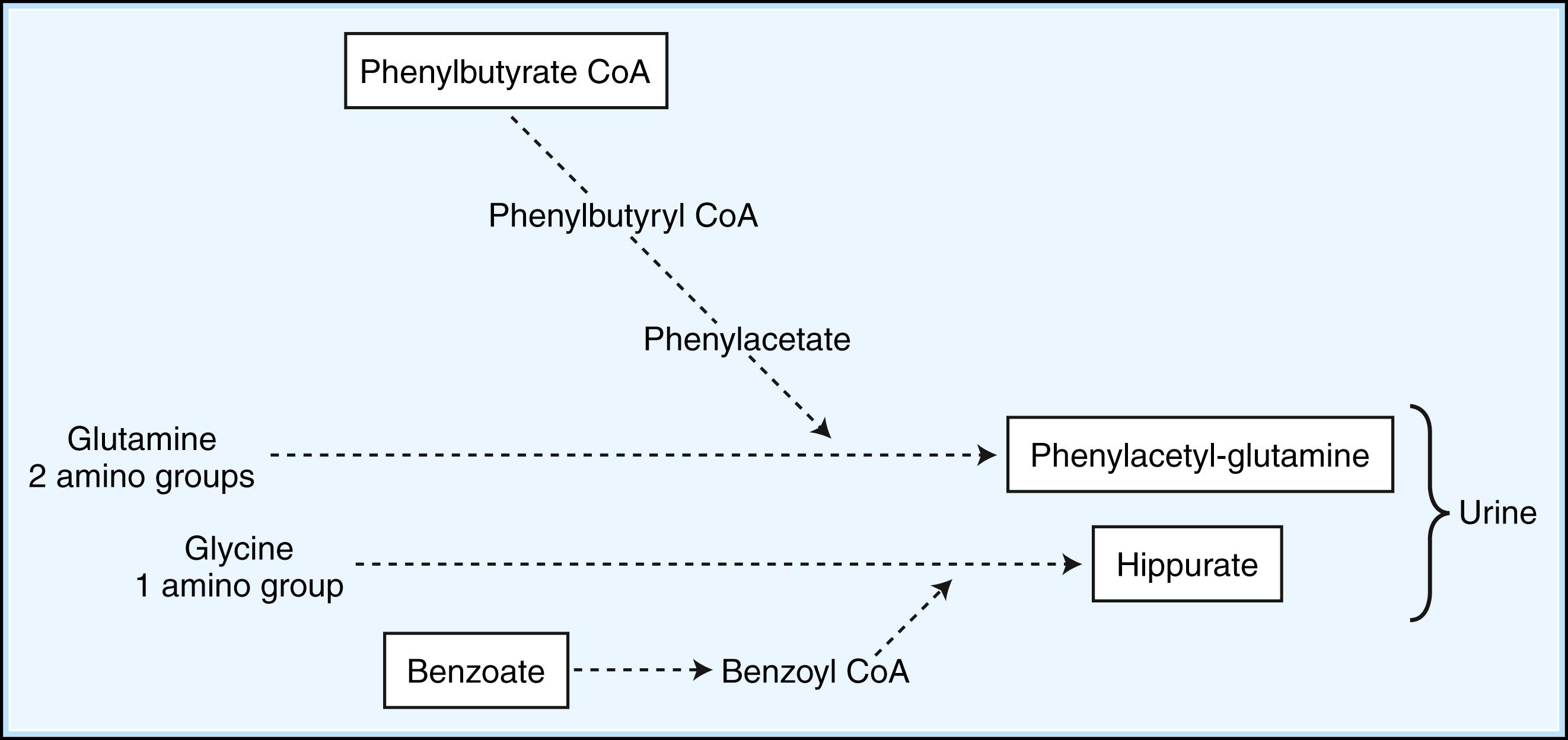 Fig. 91.3, Alternative Pathways to Reduce Accumulation of Ammonia.