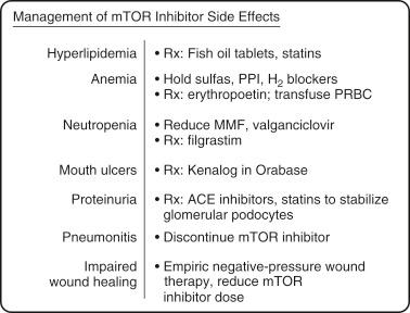 FIGURE 91-4, Because of the complexity and nature of the mammalian target of rapamycin (mTOR) pathway on cellular homeostasis, mTOR inhibitors have numerous side effects. These side effects can be easily managed, which avoids the need to discontinue the mTOR inhibitor. ACE , Angiotensin-converting enzyme; H 2 , histamine 2 ; MMF , mycophenolate mofetil; PPI , proton pump inhibitor; PRBC , packed red blood cells.