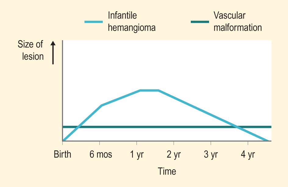 Fig. 12.1, Natural history of infantile hemangioma and vascular malformation.