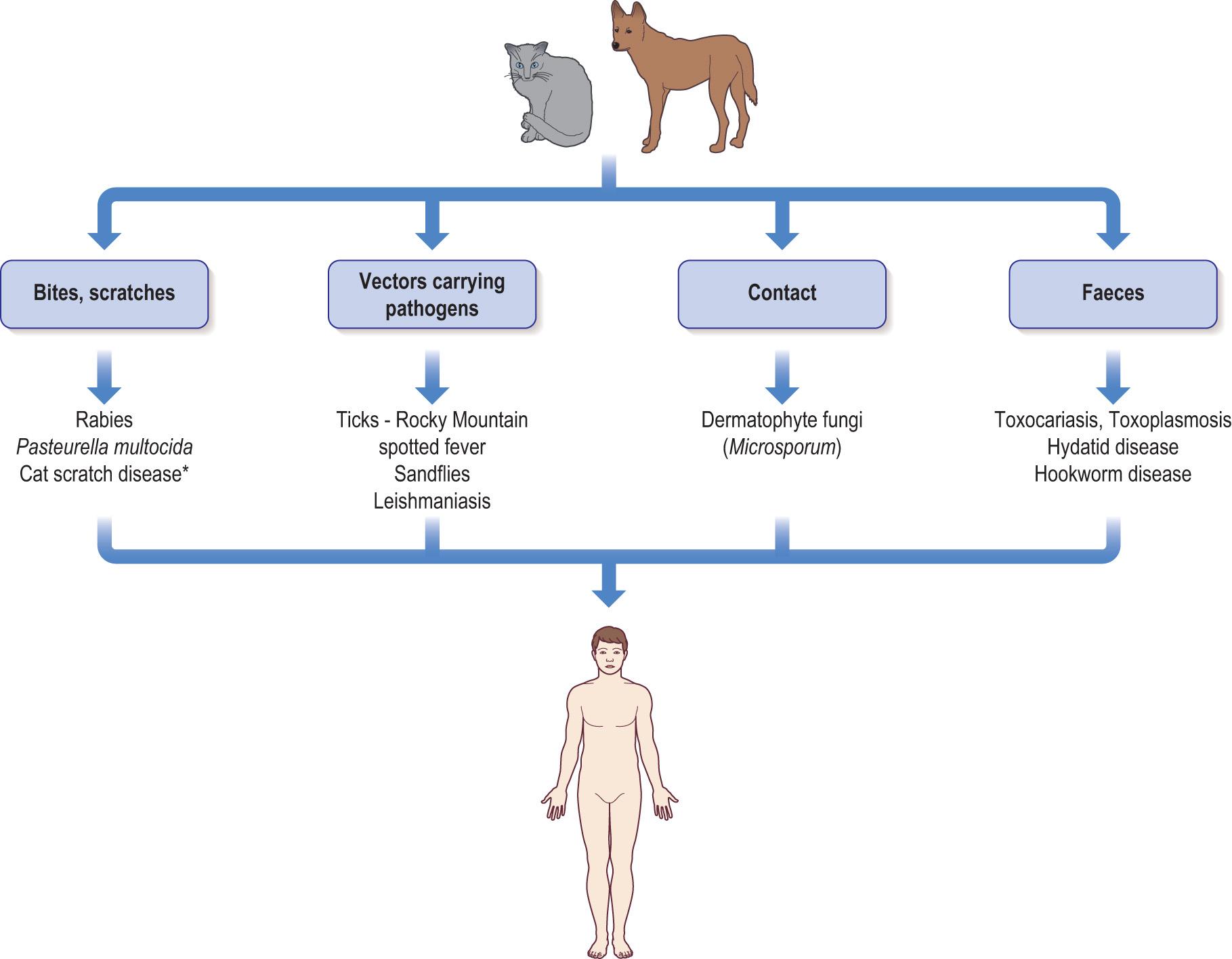 Fig. 6.9, Zoonoses transmitted from dogs and cats.