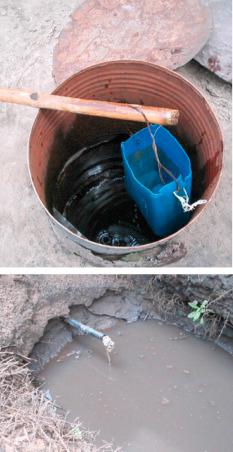 Fig. 3.14, Unsafe domestic water supply, the source of an outbreak of multidrug-resistant enteric fever in Kinshasa.