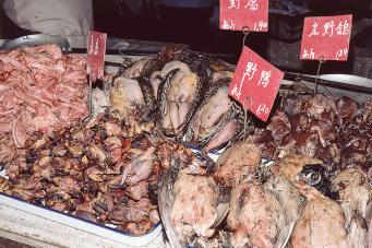 Fig. 4.7, Raw poultry in a Shanghai market.