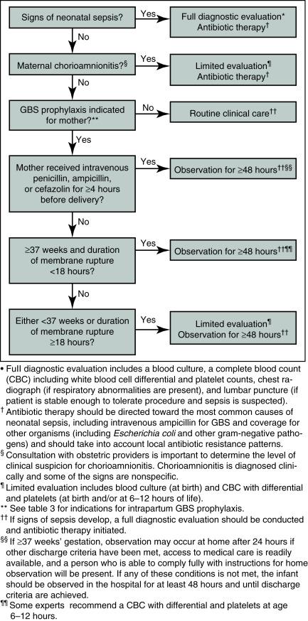 Fig. 13.1, Algorithm for secondary prevention of early-onset group B streptococcal (GBS) disease among newborns.