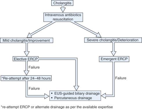 FIG 55.1, Algorithm for management of cholangitis. ERCP, endoscopic retrograde cholangiopancreatography; EUS, endoscopic ultrasound.