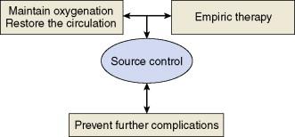 Figure 12-4, Treating sepsis: the four pillars of therapy.