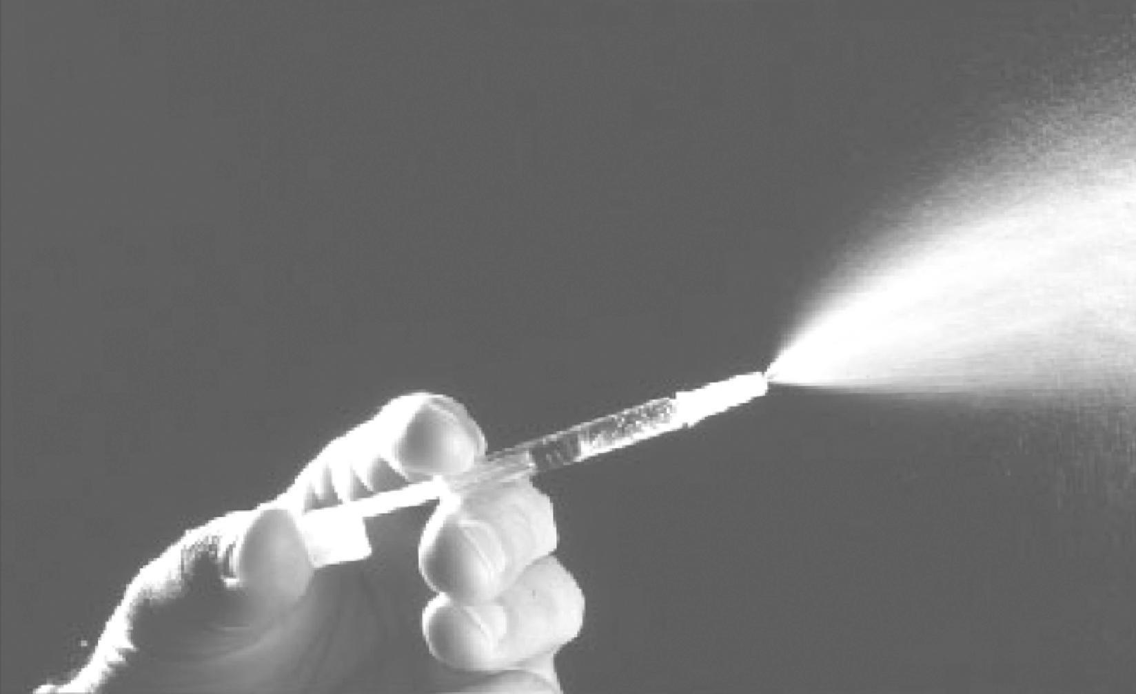 Fig. 34.2, Transilluminated illustration of large-particle aerosol generated for intranasal administration. The tip of the applicator is inserted into the anterior nares, and the plunger is depressed to administer the live attenuated vaccine to a nostril. Removing the flange on the plunger allows a second spray to be administered into the other nostril.