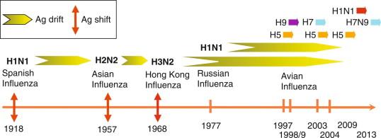 Figure 6-1, Emergence of influenza A viruses in human populations, 1918-2013.