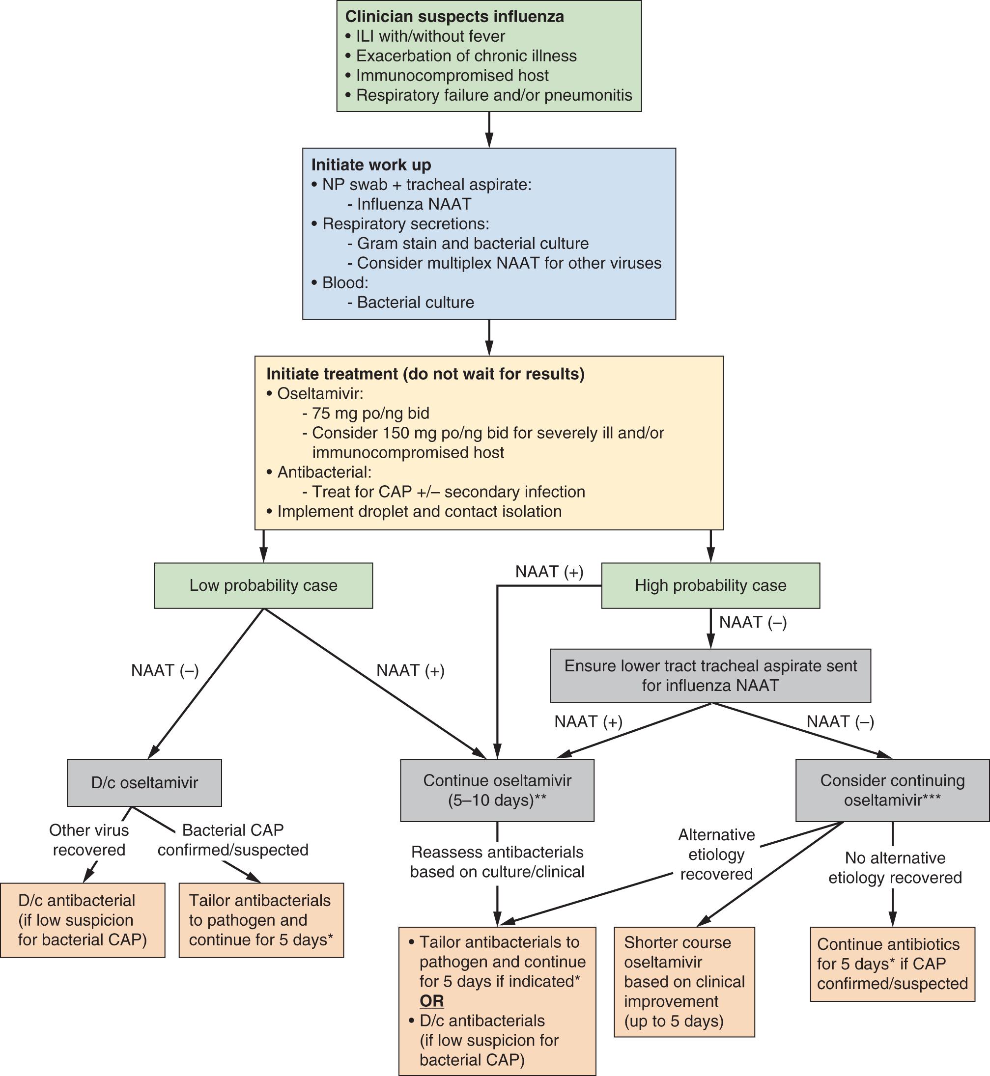 Fig. 119.3, Approach to the workup and management of a patient with suspected influenza pneumonia in the ICU. * A longer course may be needed if CAP) is complicated by meningitis, endocarditis, or other deep-seated infection; suspected or proven MRSA or P. aeruginosa pneumonia may require a 7-day treatment course; less common specific pneumonia pathogens may require longer courses (e.g., Mycobacterium tuberculosis, Burkholderia pseudomallei ). ** Because of prolonged viral shedding with primary influenza pneumonia, treatment durations longer than 5 days may be warranted, particularly for ARDS, immunocompromised, and/or severely ill patients, to a maximum of 10 days. *** Results of most NAAT testing are highly sensitive and very highly specific. If influenza is highly suspected clinically during times of high influenza activity and NAAT results are negative, the NPV remains low, and a negative NAAT may reflect a false-negative result. If symptoms present >4 days, diagnostic yield is lower and may also result in a false-negative result. CAP, Community-acquired pneumonia; d/c; discontinue; ILI, influenza-like illness; NAAT, nucleic acid amplification test; NP, nasopharyngeal.