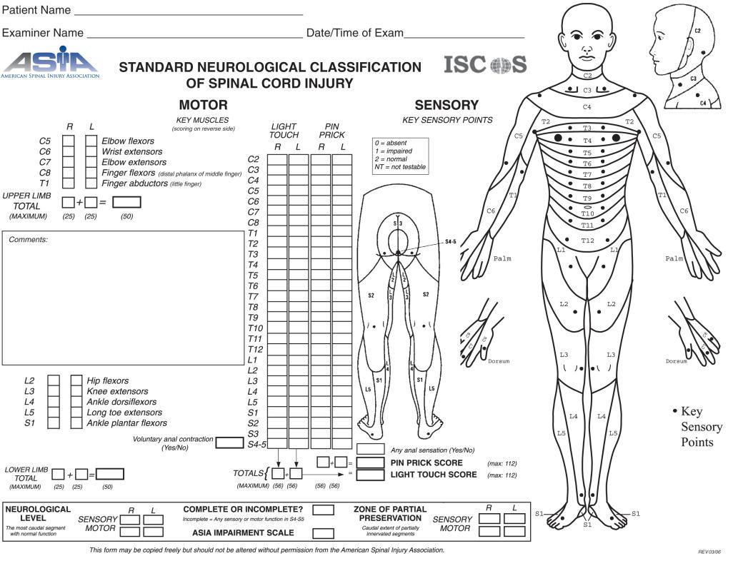 Figure 29.1, The American Spine Injury Association (ASIA) scale for spinal cord injury.