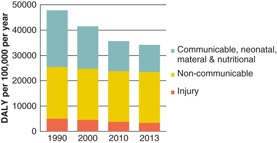 Fig. 13.4, Rates of disability-adjusted life-years (DALYs) loss per 100,000 per year by major grouping of cause.