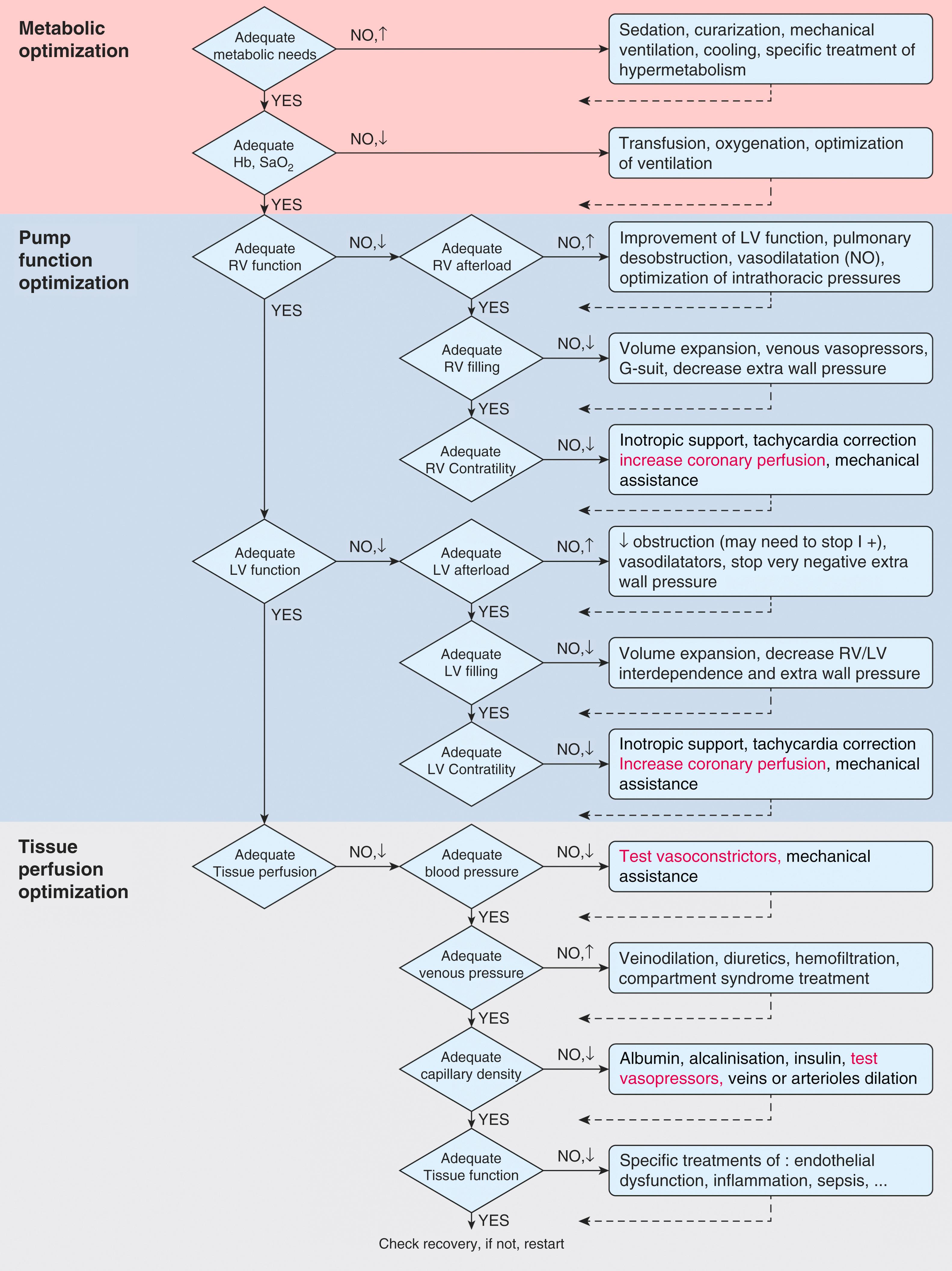 Figure 35.1, Sequential management steps for managing cardiogenic shock. Hb , Hemoglobin; LV , left ventricle; NO , nitric oxide; RV , right ventricle; Sa o 2 , arterial oxygen saturation.