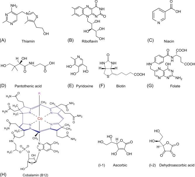 Fig. 54.1, Structure of water-soluble vitamins. (A) Vitamin B1 (thiamin). (B) Vitamin B2 (riboflavin). (C) Vitamin B3 (niacin). (D) Vitamin B5 (pantothenic acid). (E) Vitamin B6 (pyridoxine). (F) Vitamin B7 (biotin). (G) Vitamin B9 (folate). (H) Vitamin B12. R represents various ligands, such as CN in cyano-cobalamin or in the active forms methyl or 5’-deoxyadenosyl. (I) Vitamin C (ascorbic acid, dehydroascorbic acid).