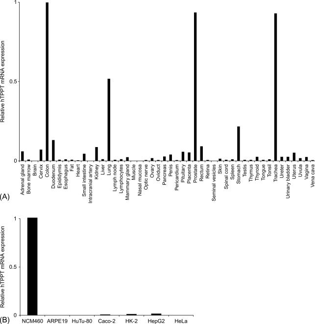 Fig. 54.4, Expression of the hTPPT ( SLC44A4 ) in different human tissues and cell lines. Expression in the GI tract is highest the colon; high expression was also observed in the prostate, trachea, and lung.