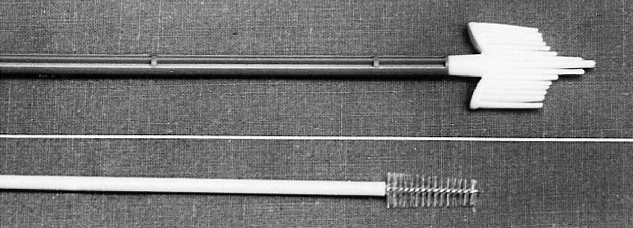 Fig. 29.3, Both these instruments can be used to obtain a cytologic sample from the endocervix: cervical broom (Unimar) ( top ); cytobrush (Medscand, Cooper Surgical, Trumbull, CT) ( bottom ).