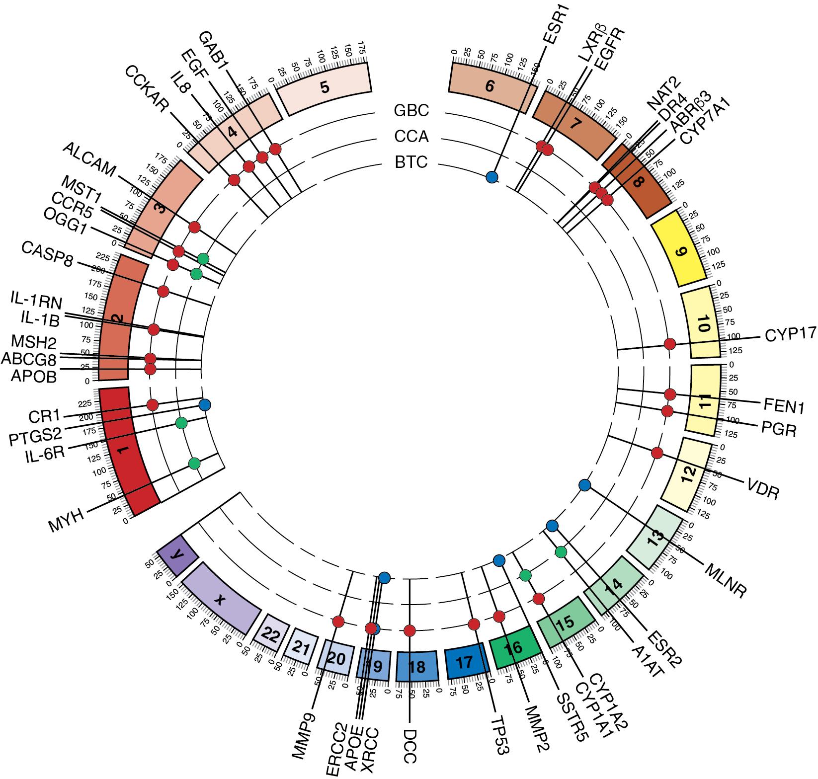 FIGURE 50.2, Circa plot of the gene variants and chromosomal locations associated with cholangiocarcinoma (CCA), as well as gallbladder cancer (GBC) and biliary tract cancer (BTC).