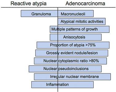 Figure 9-18, Graphic representation of the various diagnostic features that are helpful to distinguish reactive atypia (RA) from adenocarcinoma (AC) by their positive likelihood ratios.