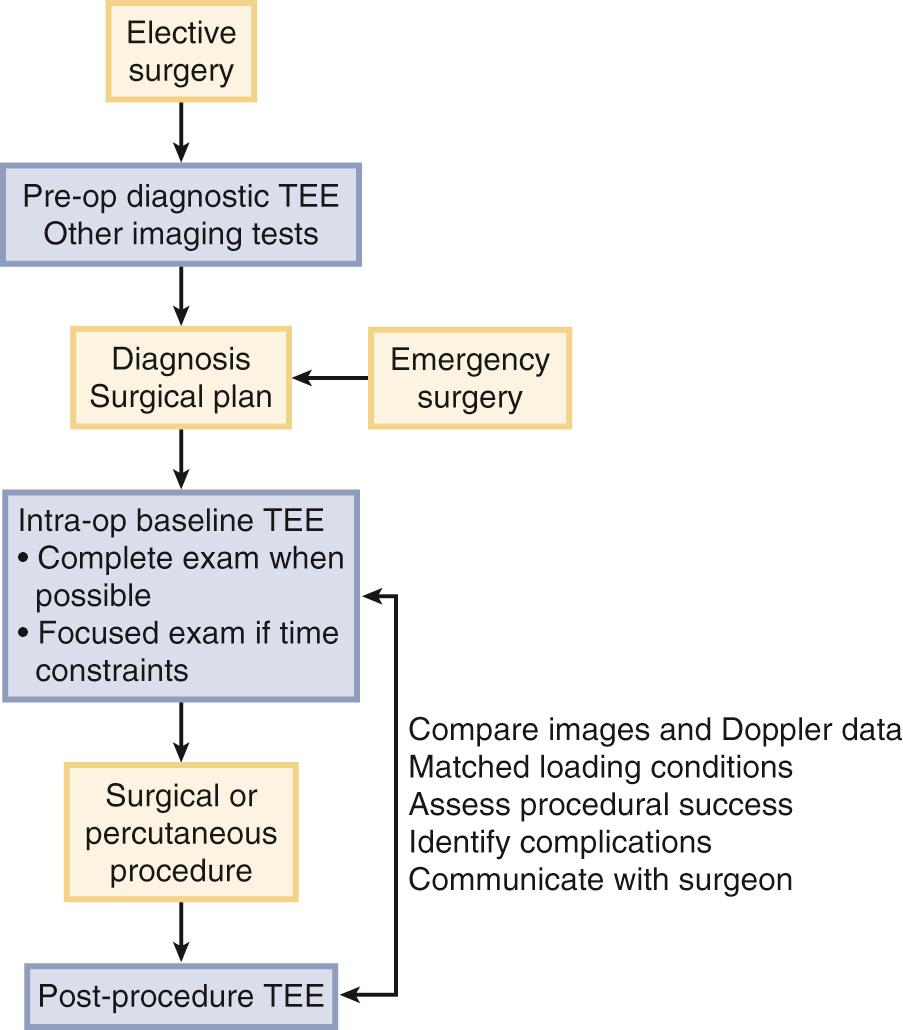 Fig. 18.1, Flow chart illustrating integration of intraoperative transesophageal echocardiography into clinical decision making.