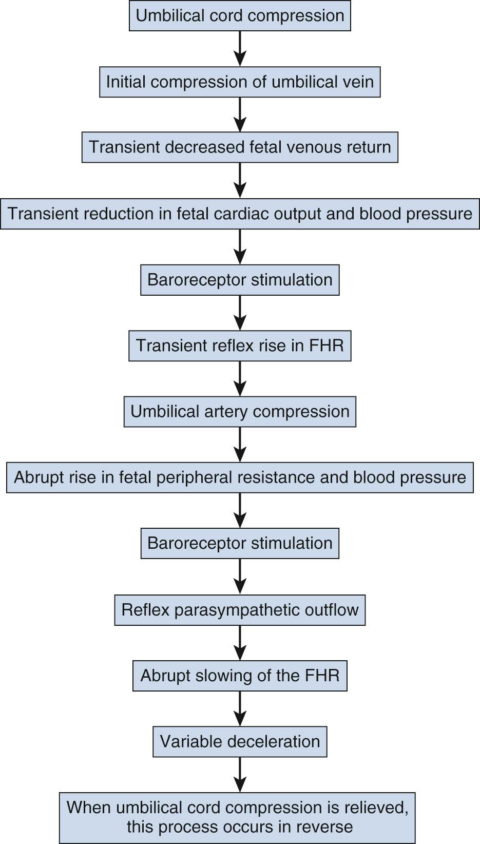 Fig. 15.11, Mechanism of a Variable Deceleration. FHR , Fetal Heart Rate.