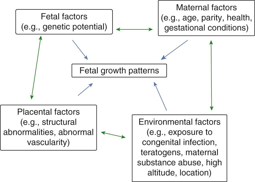 Fig. 15.1, A schematic illustrating the complex interactions between the fetus, mother, environment, and placenta that affect fetal growth patterns.