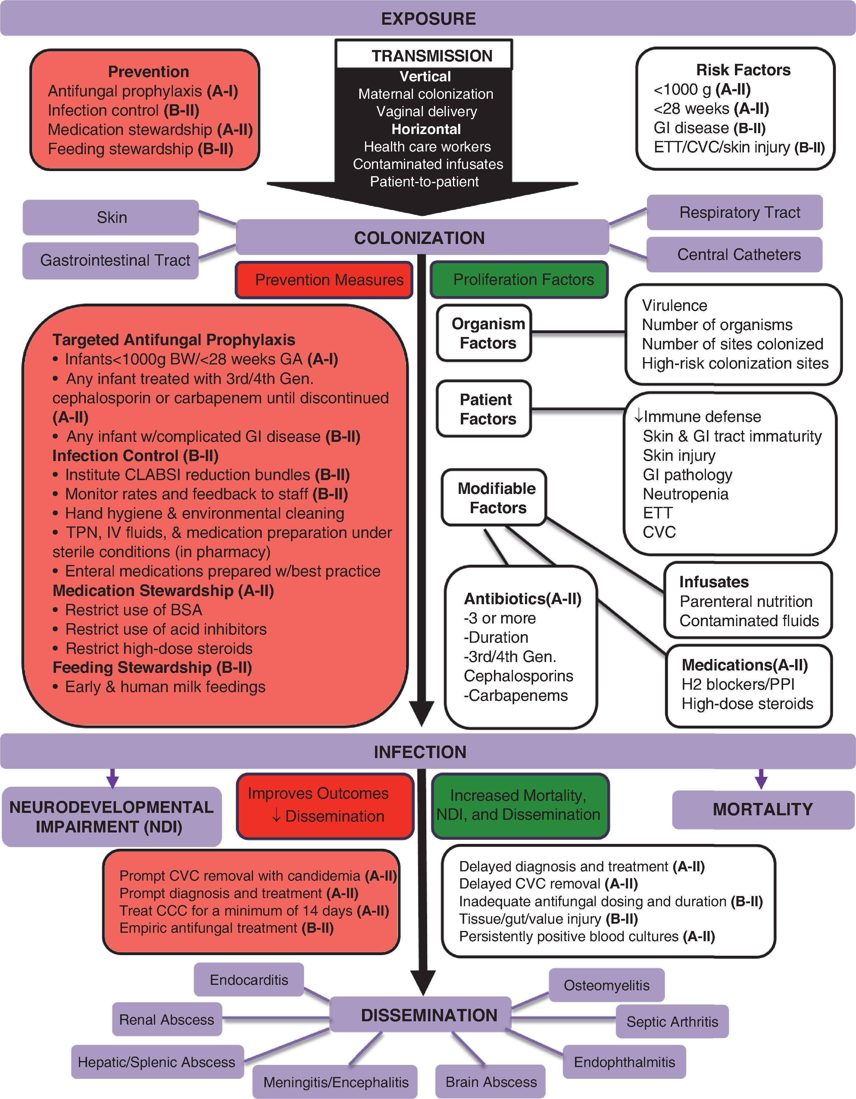 Fig. 35.1, Pathophysiology of Invasive Candida Infections: Exposure, Colonization, Infection, and Dissemination.