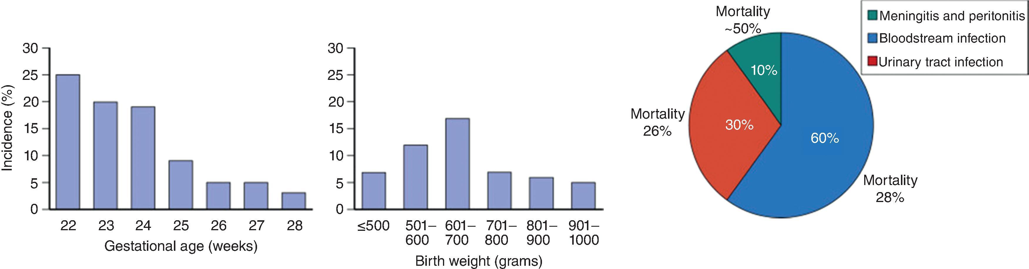 Fig. 35.3, (Left) Incidence of invasive Candida infection (ICI) by gestational age and birth weight groups in infants less than 1000 g birth weight not receiving antifungal prophylaxis. Gestational age has a linear relationship to ICI compared with birth weight and aids in defining the highest-risk patients. (Right) Distribution of type of ICI and their associated mortality. Note similar mortality for bloodstream infection (BSI) and urinary tract infection (UTI). Data from 137 infections in 1515 infants less than 1000 g from 19 centers of the NICHD Neonatal Research Network. (From Fungal and protozoal infections of the neonate. Kaufman and Manzoni. Fanaroff and Martin’s Neonatal-Perinatal Medicine . 49:809–843.)