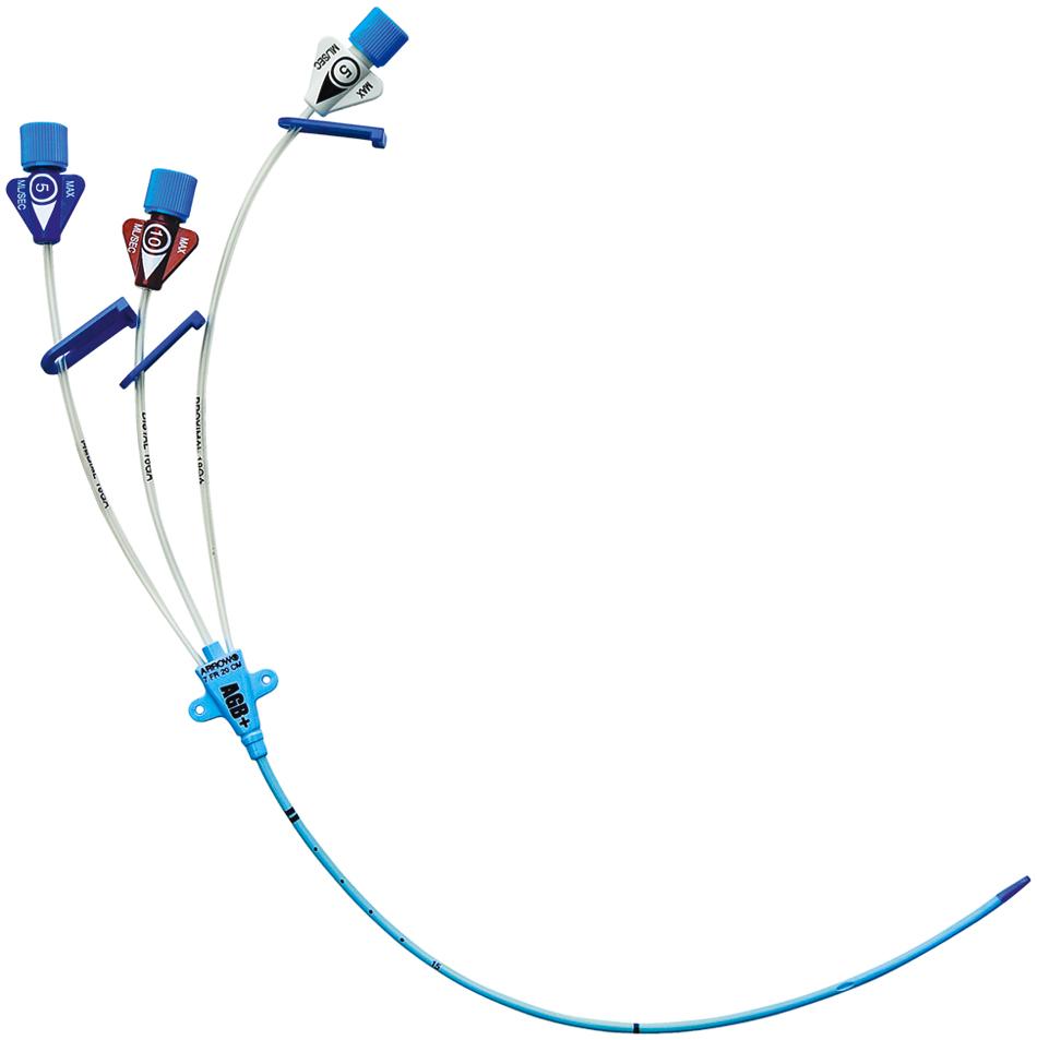 Fig. 11.14, Chlorhexidine-impregnated triple lumen central venous catheter. The inside and outside of the catheter and the hubs are impregnated with chlorhexidine.
