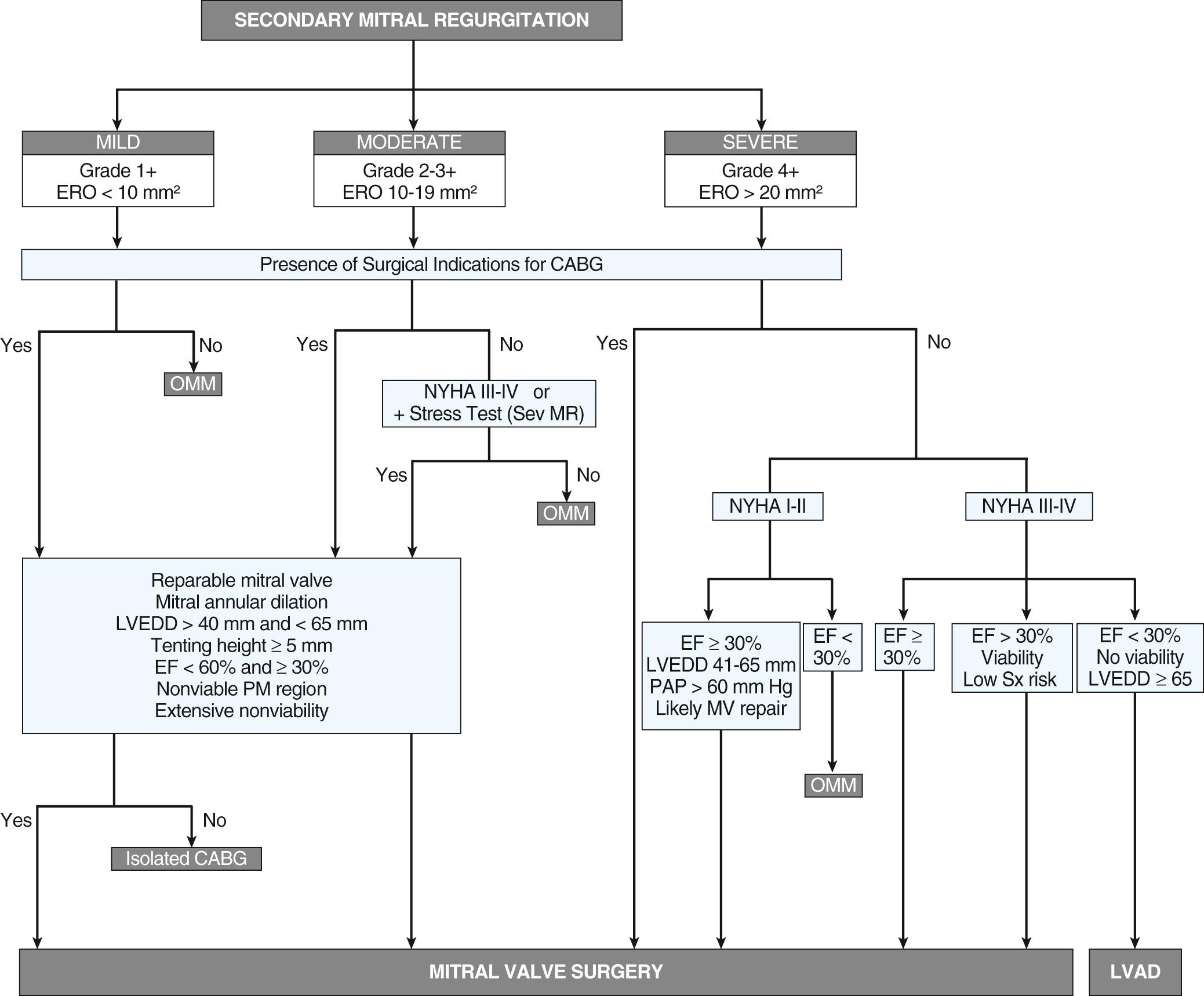 FIGURE 92-7, Decision making algorithm for surgery in patients with secondary mitral regurgitation. CABG, Coronary artery bypass grafting; EF, ejection fraction; ERO, effective regurgitant orifice; LVAD, left ventricular assist device; LVEDD, left ventricular end-diastolic diameter; MR, mitral regurgitation; NYHA, New York Heart Association functional class; OMM, optimal medical management including cardiac resynchronization therapy; PAP, pulmonary artery pressure; PM, papillary muscle; Sx, surgical.