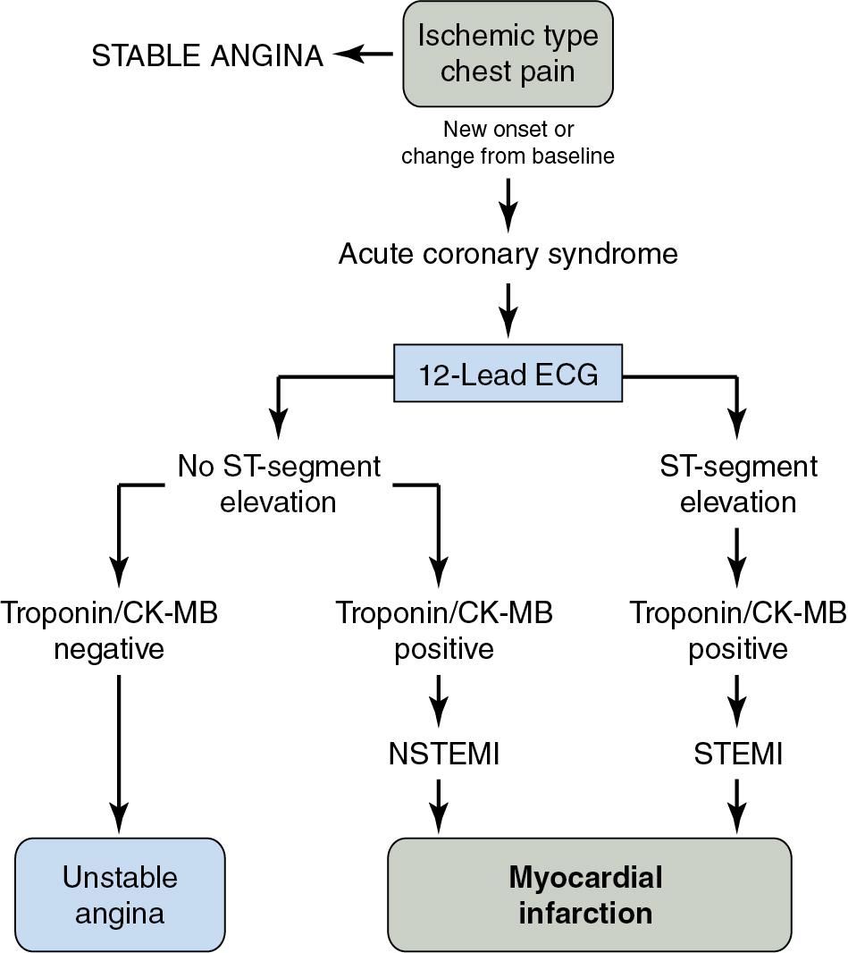 Fig. 5.2, Terminology of acute coronary syndrome. CK-MB, Creatine kinase, myocardial-bound isoenzyme; ECG, electrocardiogram; NSTEMI, non–ST-segment elevation myocardial infarction; STEMI, ST-segment elevation myocardial infarction.