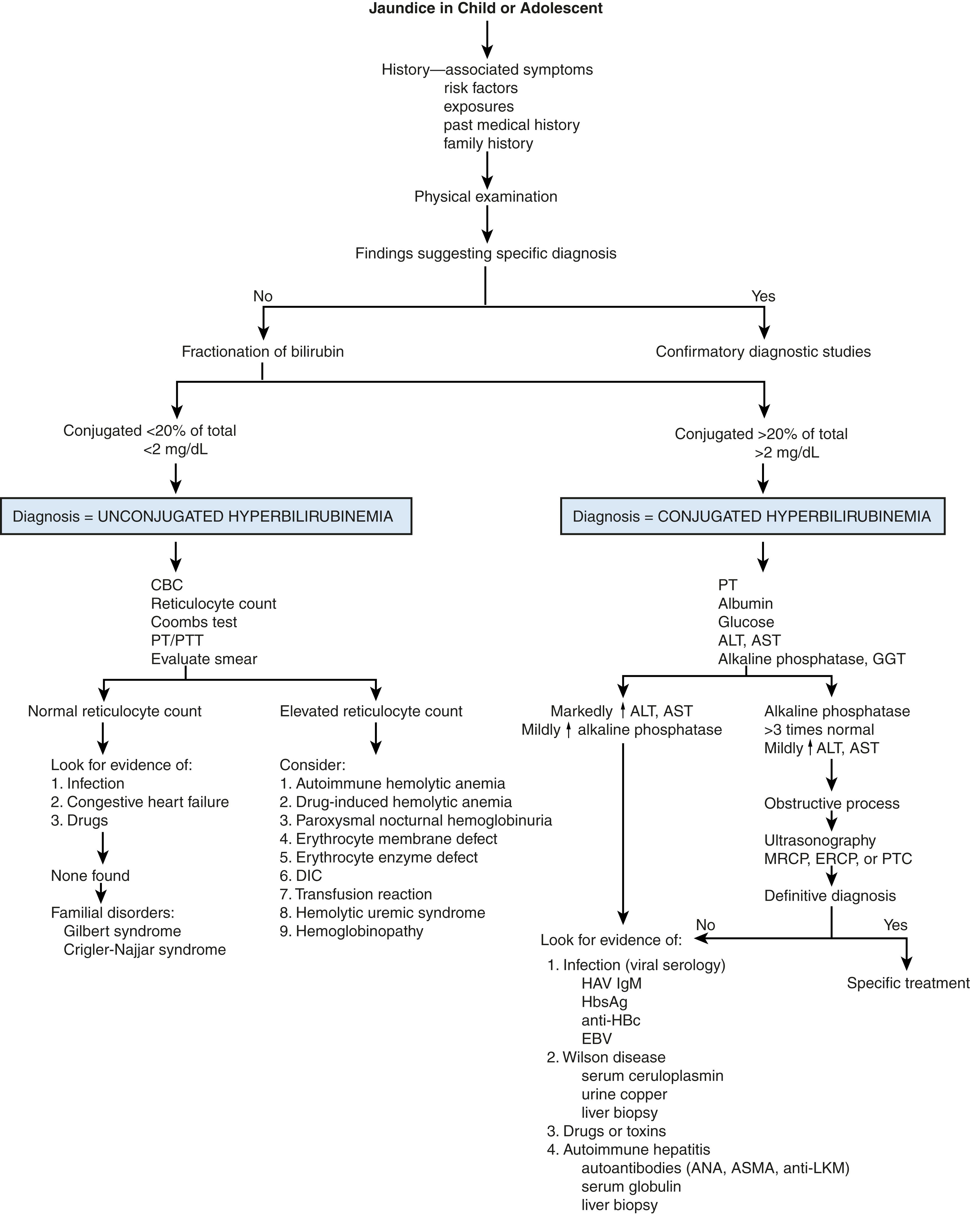 Fig. 18.3, Diagnostic approach to the child or adolescent with hyperbilirubinemia. ALT, alanine aminotransferase; ANA, antinuclear antibody; ASMA, anti–smooth muscle antibody; AST, aspartate transaminase; DIC, disseminated intravascular coagulation; EBV, Epstein-Barr virus; ERCP, endoscopic retrograde cholangiopancreatography; GGT, γ-glutamyltransferase; HAV, hepatitis A virus; HBc, hepatitis B core; HBsAg, hepatitis B surface antigen; IgM, immunoglobulin M; LKM, liver-kidney microsomal; MRCP, magnetic resonance cholangiopancreatography; PT, prothrombin time; PTC, percutaneous transhepatic cholangiography; PTT, partial thromboplastin time.