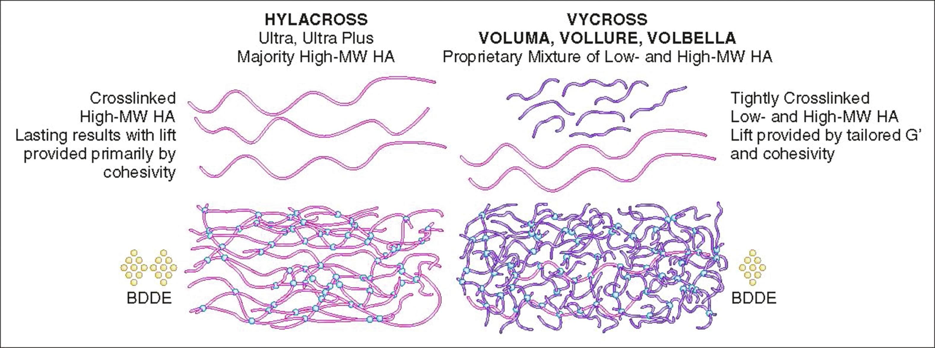 Fig. 6.1, Crosslinking of Hylacross and Vycross.