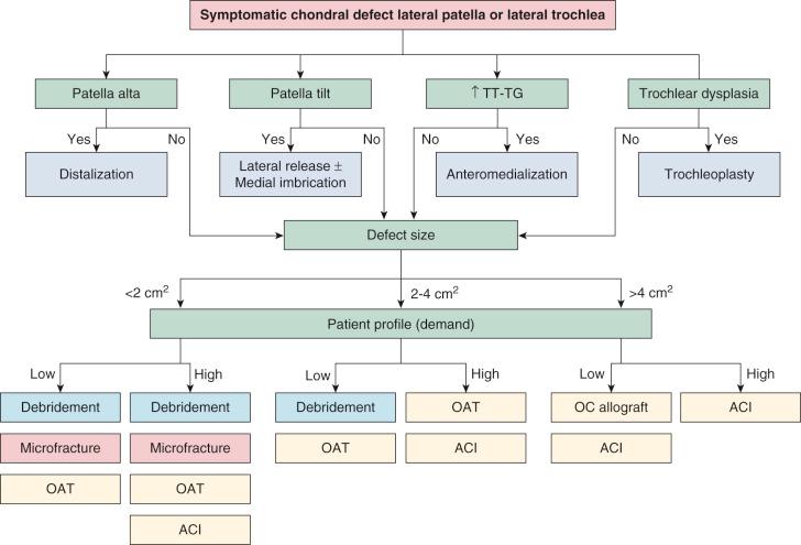 FIG 31-2, Management of symptomatic chondral defect in the patellofemoral compartment (trochlea, patella). Concomitant issues such as patella tilt, alta, increased tibial tubercle-trochlear groove (TT-TG), and trochlear dysplasia should be addressed simultaneously or in a staged manner. Centrally or medially located defects warrant different unloading osteotomy techniques. Medial patellofemoral cartilage pathology is a contraindication to medialization osteotomy. The most important defect-specific parameter dictating treatment choice is size (cm 2 ). Yellow shading denotes cartilage restoration, red shading denotes cartilage repair, purple shading denotes cartilage palliation. ACI , Autologous chondrocyte implantation; OAT , osteochondral autograft transplantation; OC , osteochondral allograft.