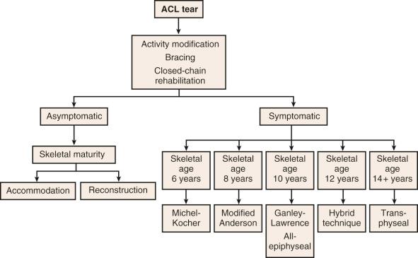 Fig. 137.2, A treatment algorithm for patients with a ruptured anterior cruciate ligament (ACL) . After a trial of activity modification, bracing, and closed-chain rehabilitation, symptomatic patients are candidates for surgical reconstruction. Prepubescent patients are at greatest risk for growth disturbances, and physeal-sparing techniques such as an all-epiphyseal or combined intra-articular and extra-articular reconstruction are used. Soft tissue transphyseal reconstruction is performed on older/postpubescent patients.