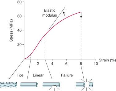 FIG 4-2, Example of a typical normalized stress-strain curve for collagen. The resulting curve provides mechanical (material) parameters that are independent of tissue dimensions.