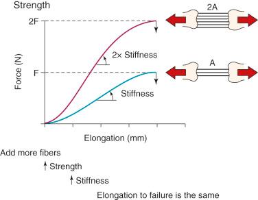 FIG 4-3, The effects of increasing tissue cross-sectional area on the shape of the load-deformation curve.