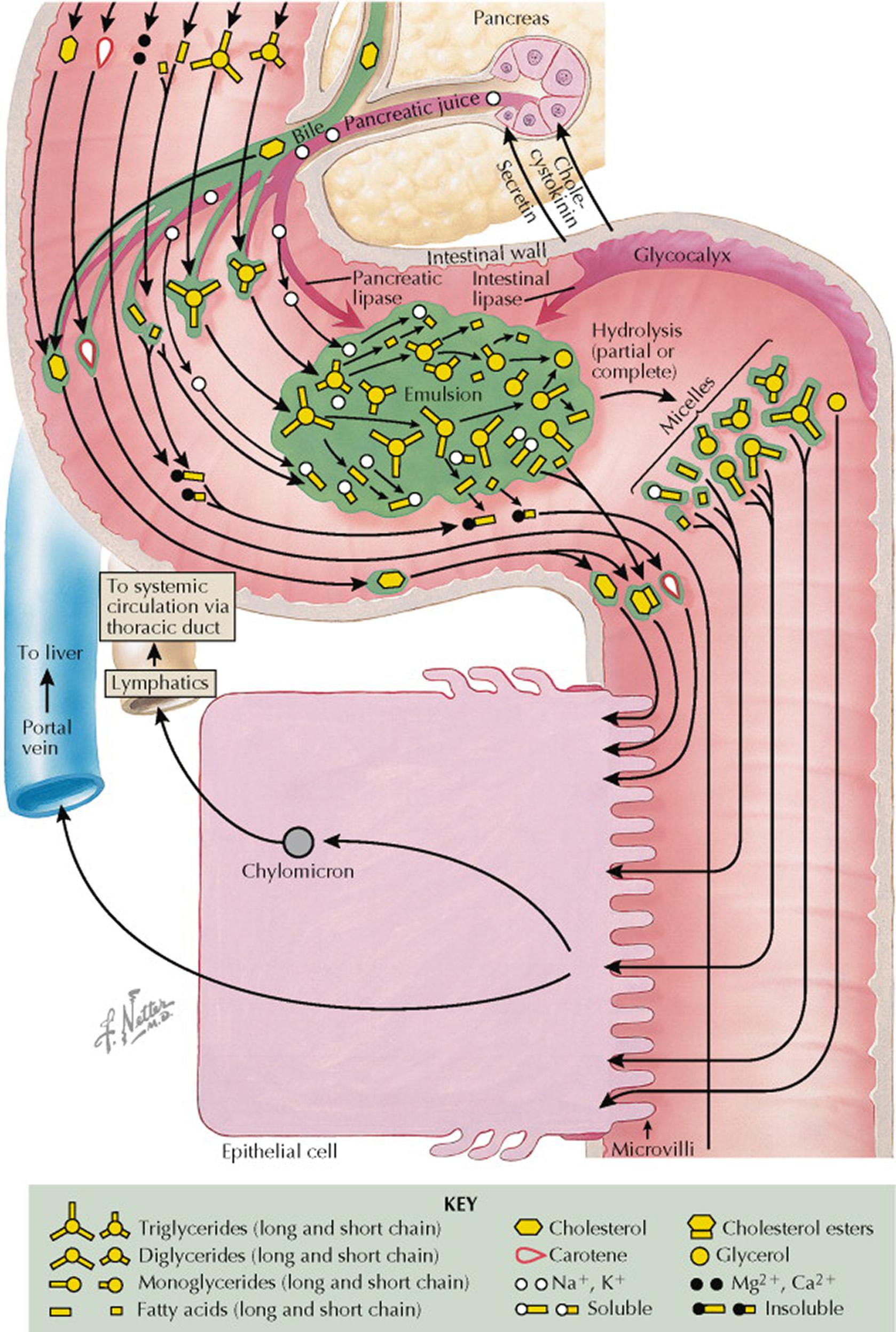 Plate 7-2