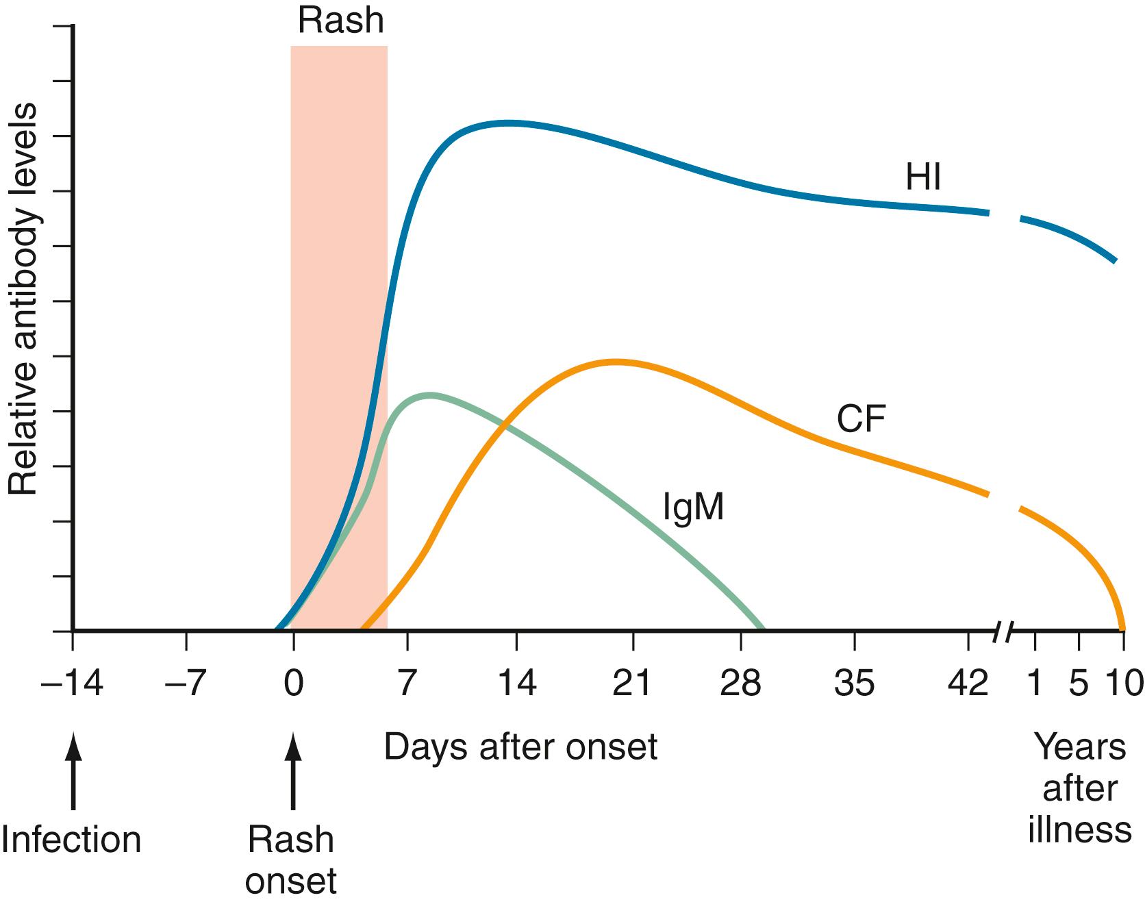 FIGURE 287.1, Antibody responses during acute measles.