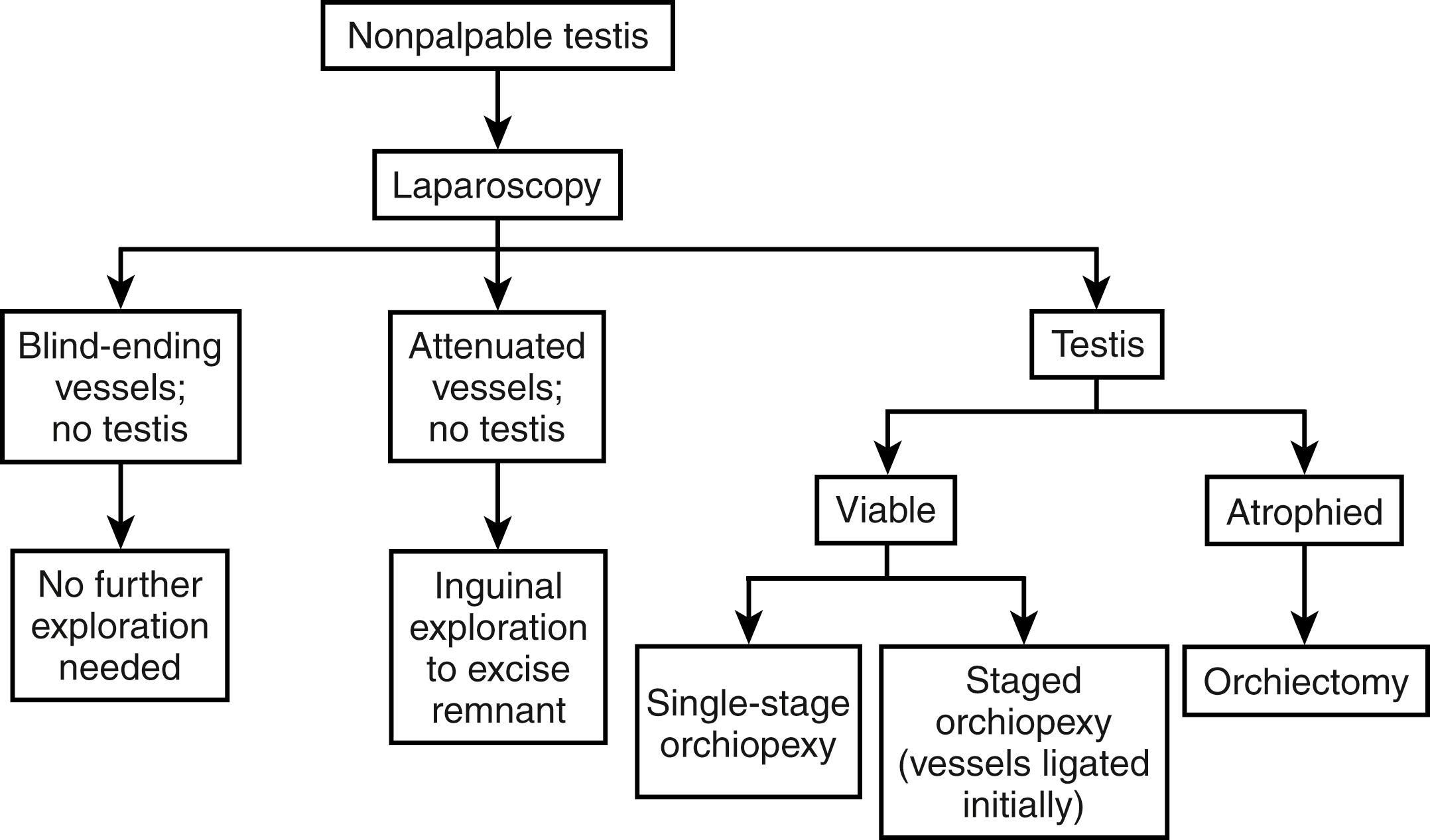 Fig. 20-1, The algorithm used for boys older than 6 months with a nonpalpable testis at Children’s Mercy Hospital.