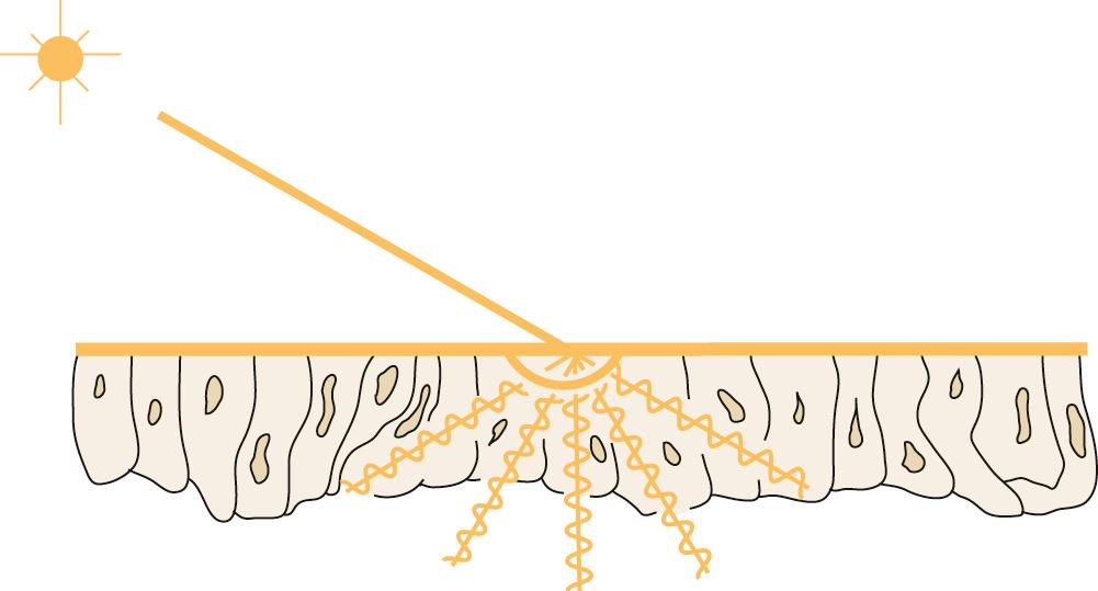 Fig. 59.8, Scattering.