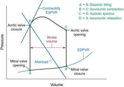 Fig. 5.2, Pressure-Volume Loop.