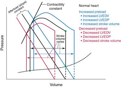 Fig. 5.3, Changes in Preload.