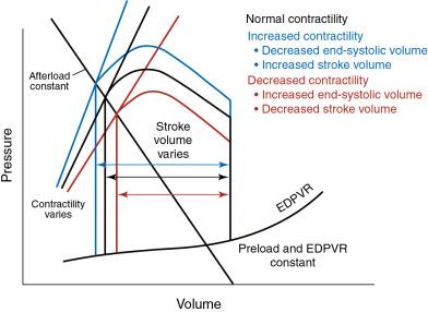 Fig. 5.6, Changes in Contractility.